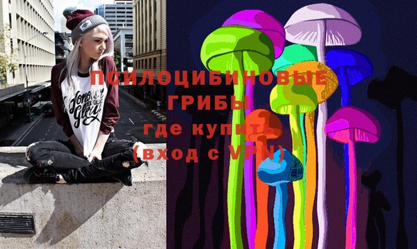 ПСИЛОЦИБИНОВЫЕ ГРИБЫ Белокуриха