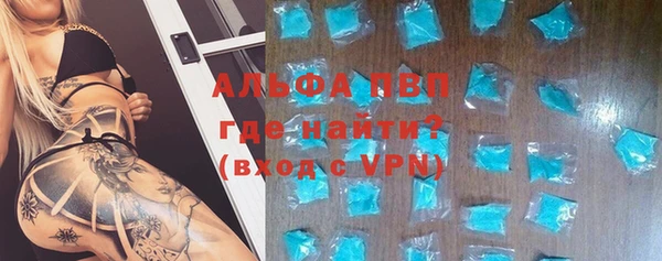ПСИЛОЦИБИНОВЫЕ ГРИБЫ Белокуриха
